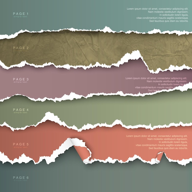 요소 투명 디자인의 집합 찢어진 종이 서식 파일.