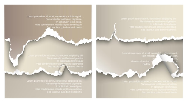 벡터 요소 투명 디자인의 집합 찢어진 종이 서식 파일.