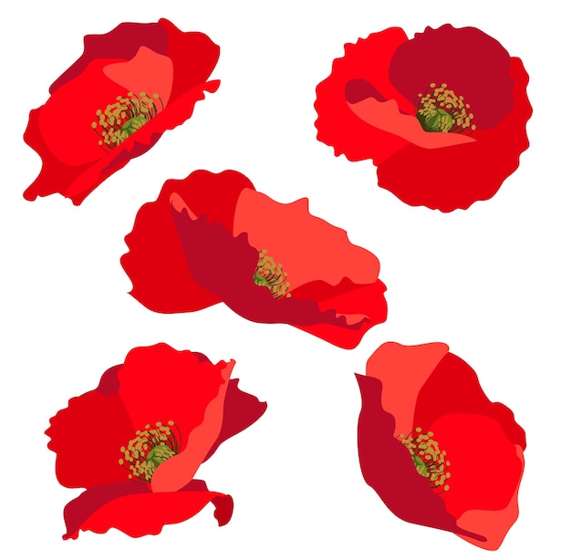 Вектор Набор плоских красных цветочных головок мака для шаблона дизайна, выделенного на белом фоне