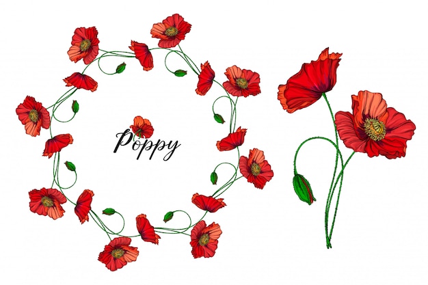 Вектор Набор цветочных композиций с красными цветами мака