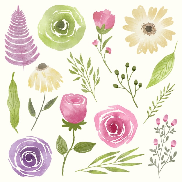 水彩イラストで描かれた花と植物のセット