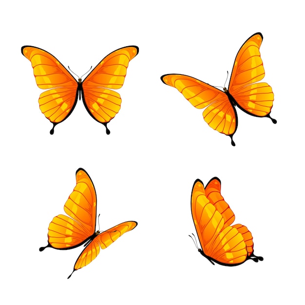白い背景の図に分離された4つのオレンジ色の蝶のセット
