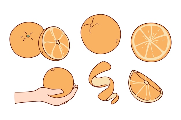 Набор свежих натуральных сочных апельсинов