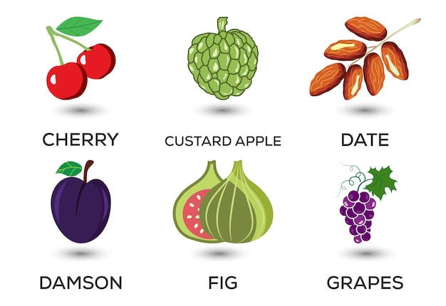 果物のセットさまざまなカラフルな果物生鮮食品健康的な食事の概念ベクトル図