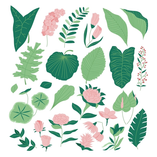 녹색 열 대 꽃 세트, 화려한 꽃 식물 번들 요소와 단풍 컬렉션