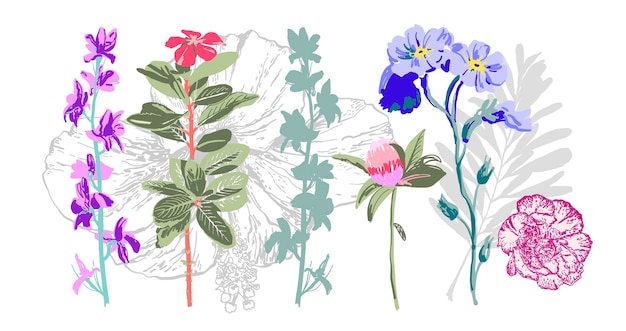 ベクトル 手描きの植物の花の要素のセット野生の花