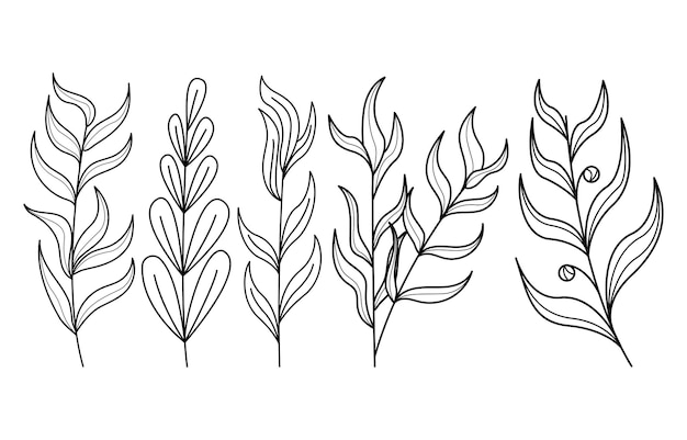 手描きの抽象的な落書きの木の枝のコレクションのセット