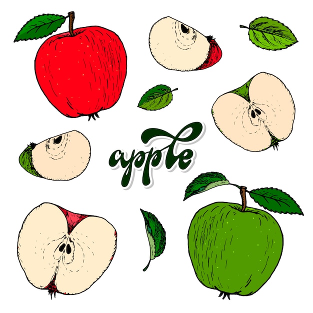 Набор рисованной яблок и листьев