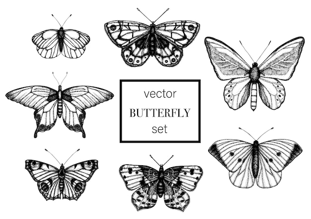 Набор рисованной черно-белых бабочек.