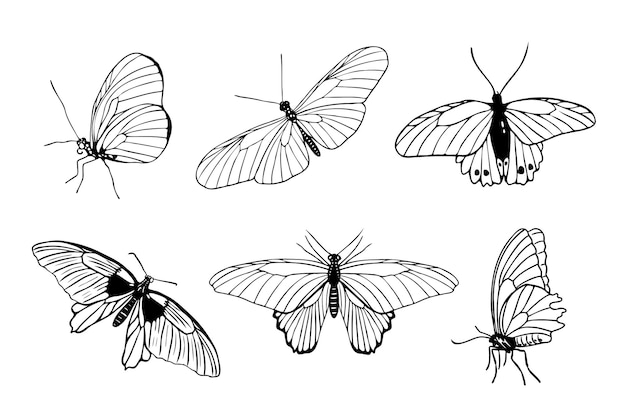 Набор нарисованных вручную черных контуров бабочек на белом фоне