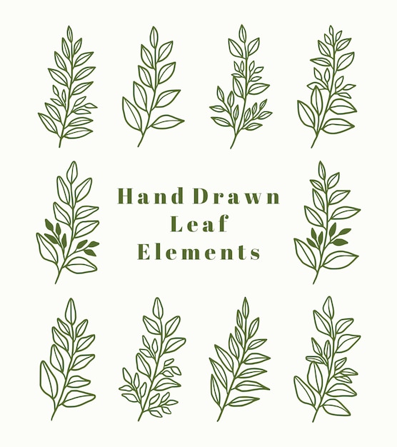 手描きの植物の葉のロゴ要素のセット