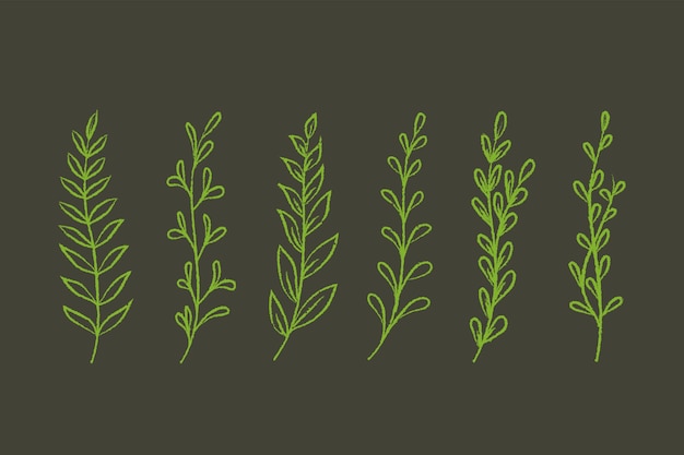 Вектор Набор рисованной зеленых растений с текстурой карандаша