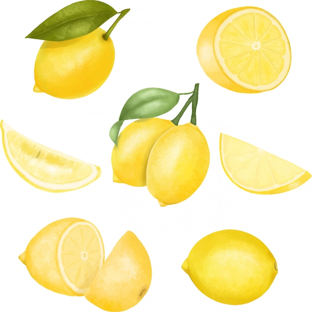 Набор рисованной изолированных лимонов иллюстрации