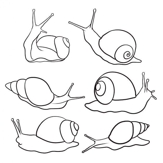 손으로 그린 달팽이의 집합