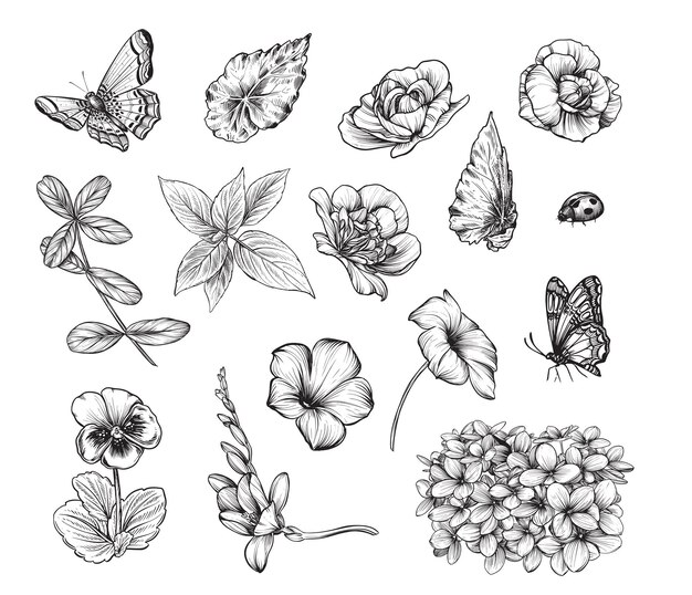 Вектор Набор векторных садовых цветов и листьев ручной работы в стиле черно-белого эскиза