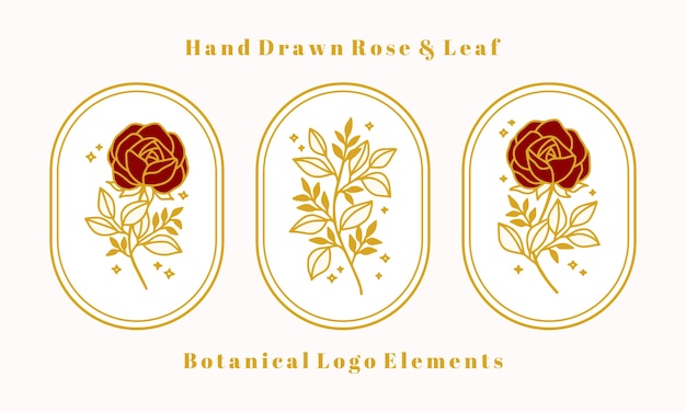 Набор рисованной старинных золотых ботанических элементов розы для женского логотипа или косметического бренда