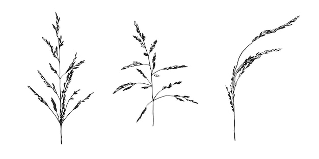 手描きの野生植物草のセットアウトラインハーブシルエットブラシインク絵画ベクトル