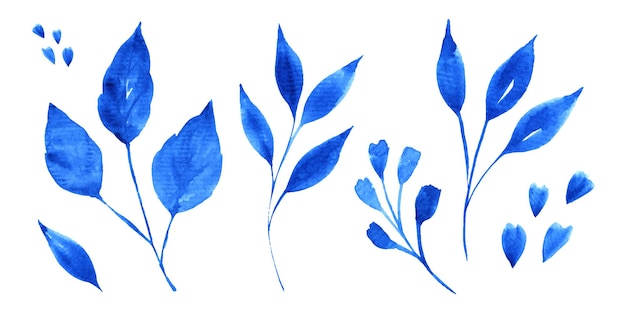 Вектор Набор раскрашенных вручную акварельных синих листьев и ветвей, изолированных на белом