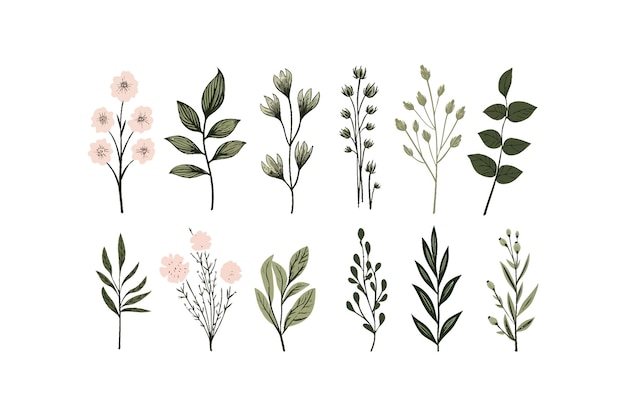 Вектор Набор иллюстраций handdrawn botanical vector