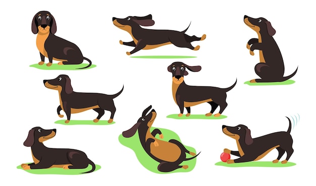 Набор счастливой мультяшной собаки таксы плоской иллюстрации
