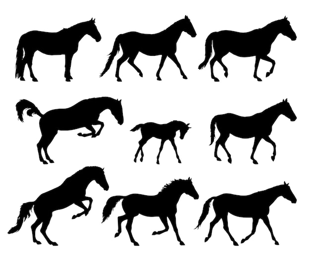 白い背景で隔離の馬のシルエットコレクションのセット