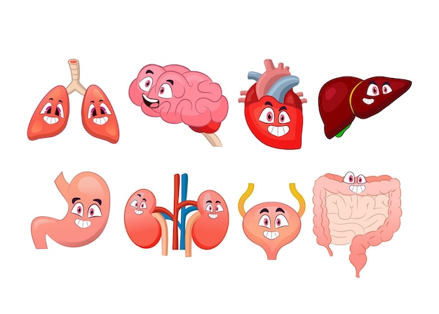 Вектор Набор карикатур на человеческие органы