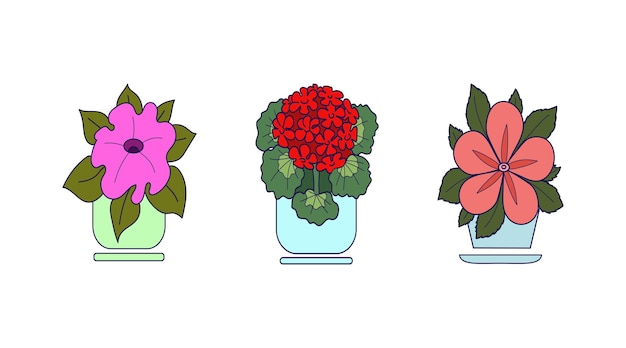 Набор комнатных растений крупным планом разноцветное изображение векторная иллюстрация