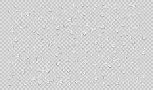 透明な背景に分離された水滴のセット現実的なベクトル図
