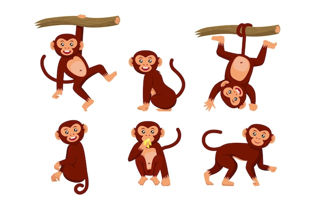 ベクトル 猿の様々なポーズのキャラクターデザインイラストのセット