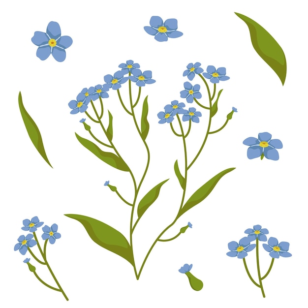 Myosotis 디자인 요소 집합