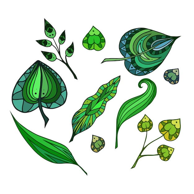 Набор узорчатых каракулей зеленых листьев векторный элемент для пригласительных брошюр и вашего дизайна