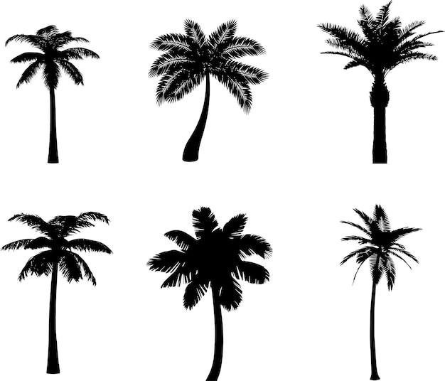 Набор растений и пальм