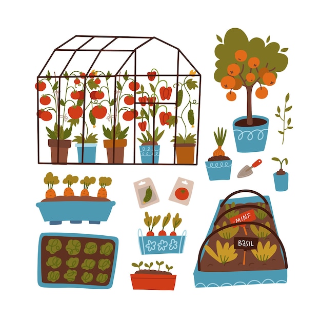 Набор растений и сцен оранжереи, горшки и полки с семенами и рассадой растений