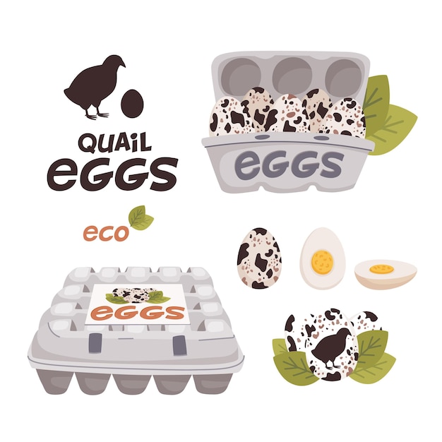 段ボール箱と新鮮な農場の卵のロゴのウズラの卵のセット