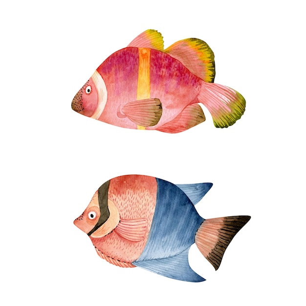 빨간색과 파란색 물고기 손으로 그린 수채화 삽화 세트