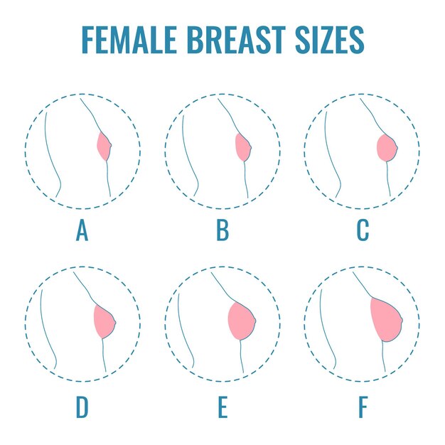 Набор иконок круглой линии различных размеров женской груди, вид сбоку тела Различные размеры груди