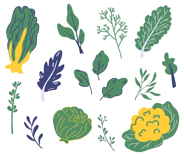 ベクトル サラダグリーンのセット。さまざまな種類のサラダ。レタス、クレソン、ケール、ほうれん草。グリーンレタスサラダ野菜の葉。健康的な製品。ベジタリアン。装飾、キッチン、メニュー、レストランに。ベクター