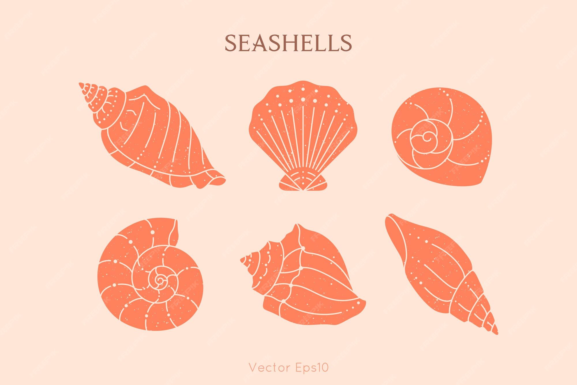 Sea Shell のベクトルとイラストを無料でダウンロード Freepik Sea Shell のベクトルとイラストを無料でダウンロード Freepik