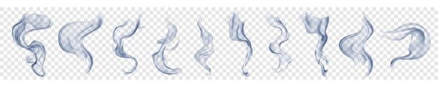 벡터 여러 가지 현실적인 투명한 밝은 파란색 연기 또는 증기의 세트 밝은 배경에 사용하기 위해  ⁇ 터 형식에서만 투명