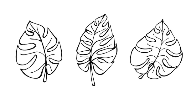 Набор простых тропических листьев монстеры иллюстрации ручной рисунок векторного клипарта ботанические каракули