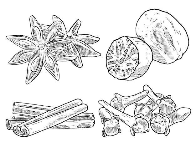 Вектор Набор эскизов и нарисованных вручную специй, овощей и трав, звездчатого аниса, мускатного ореха, гвоздики и корицы