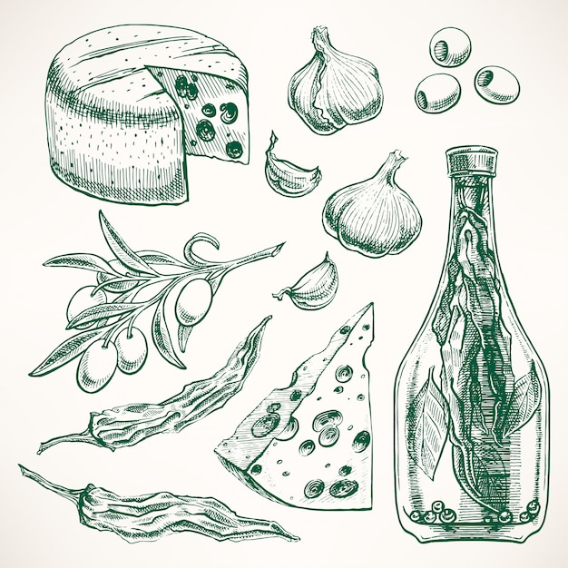 スパイス、チーズ、野菜のセットです。ニンニク、オリーブ、唐辛子。手描きイラスト