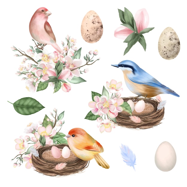 Набор весенних птичьих гнезд и яиц с цветами яблони