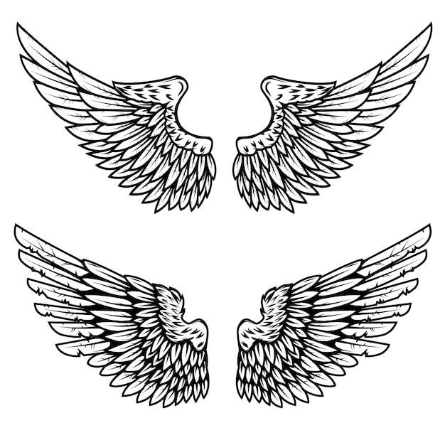 Набор крыльев орла на белом фоне. элемент для логотипа, этикетки, эмблемы, знака. иллюстрации.