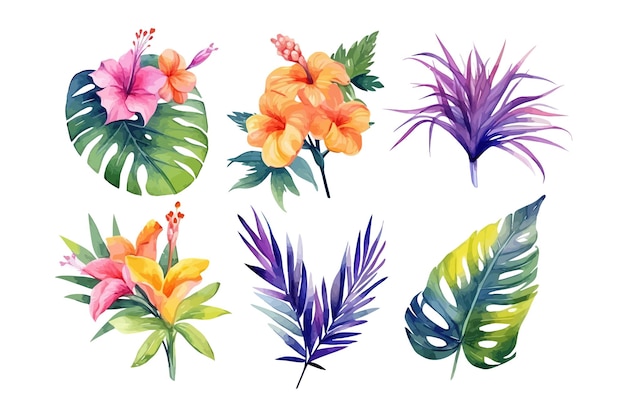 Вектор Набор тропической флоры природа ботаническая декоративная коллекция векторная иллюстрация изолированная коллекция набор тропических листьев