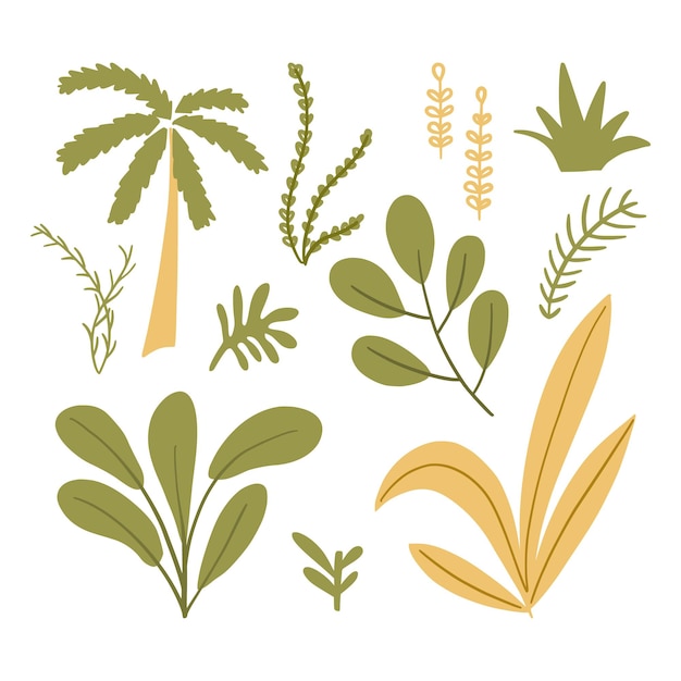 벡터 열 대 나무, 식물 및 부시 아이콘 플랫 클립 아트 흰색 절연의 집합입니다. 손으로 그린 이국적인 공원, 정글 식물, 코코넛 야자수 벡터 삽화. 만화 스타일 디자인 식물 그래픽 컬렉션