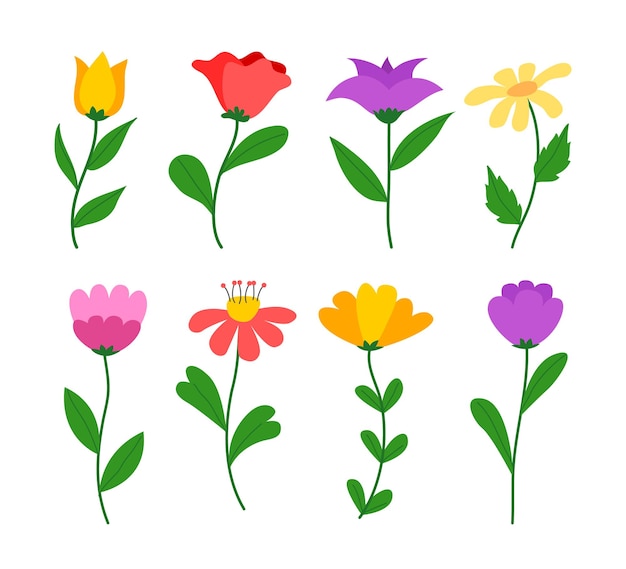 ベクトル 茎と葉を持つ様々な花のセット春の花のフラットスタイルのイラスト