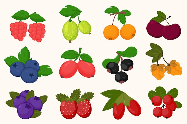 Набор различных векторных рисунков свежих фруктов в мультяшном стиле