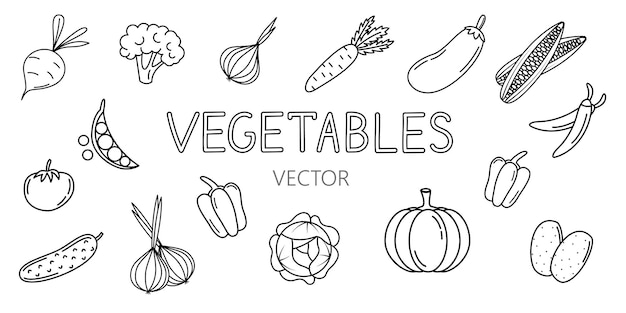 ベクトル線画野菜アイコンのセット着色のための漫画要素のコレクション