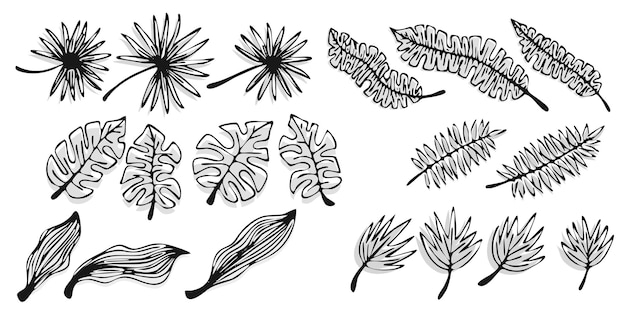 ベクトル熱帯の葉のセット